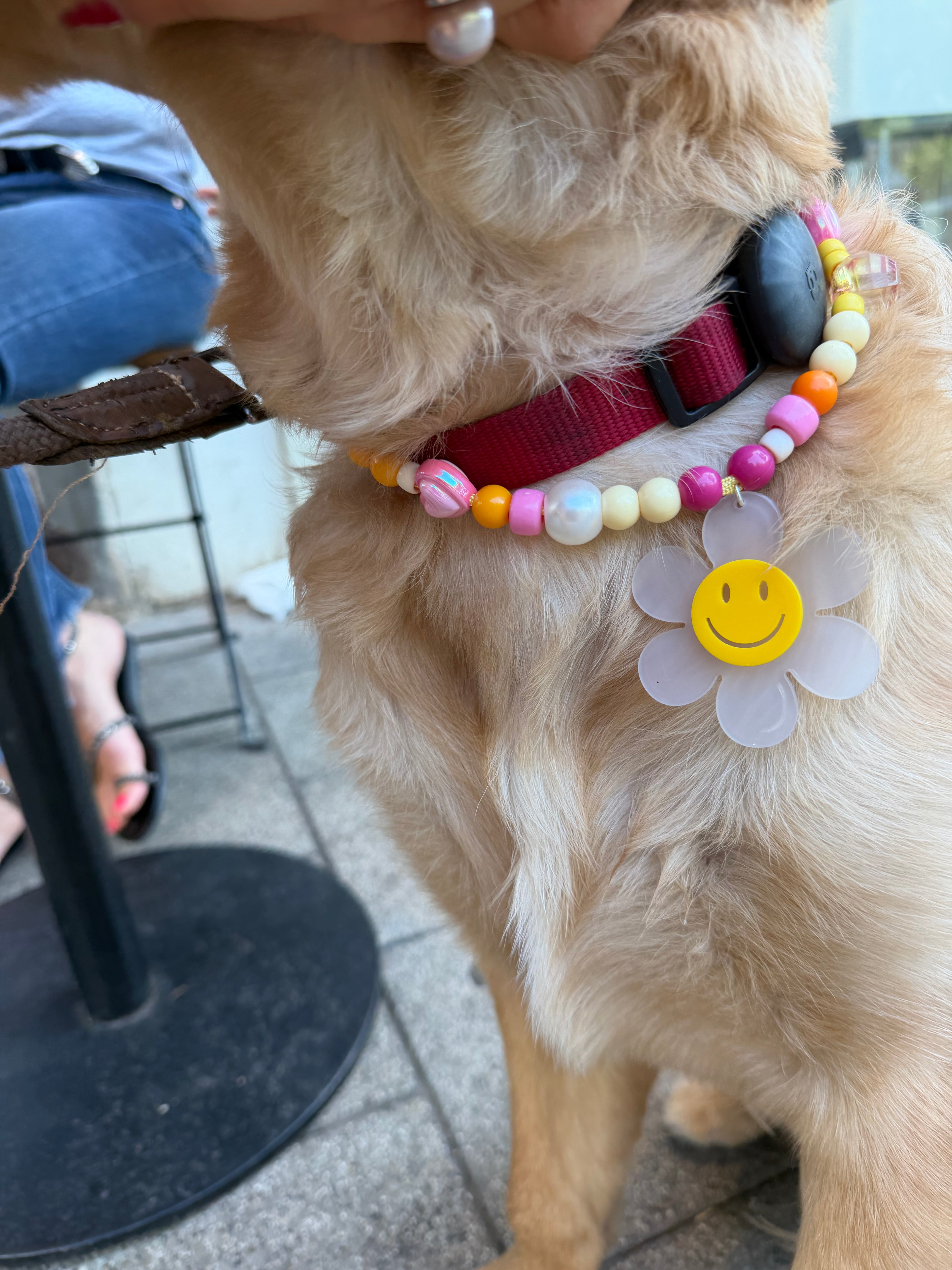 The Happy Dog Necklace